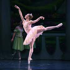 Ballet Theater Company
