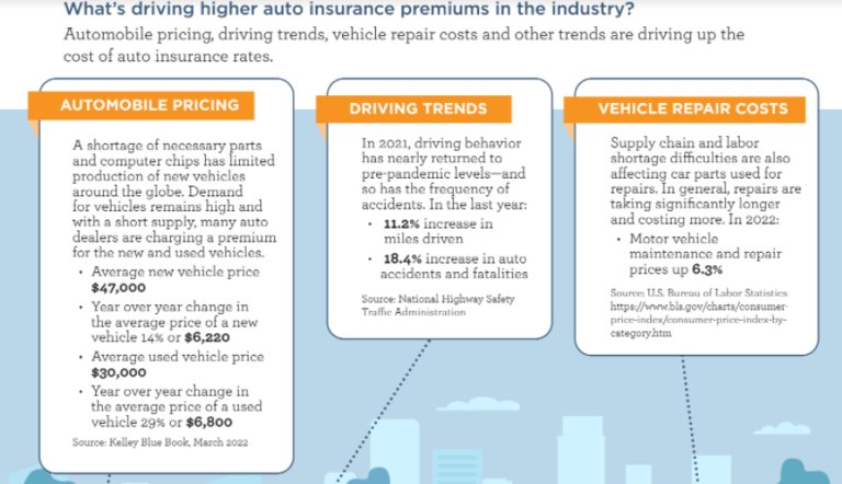 The Rise in Car Ownership